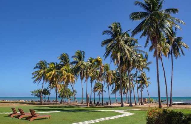Pelican Beach Resort