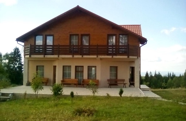 Pensiunea Dealu Negru 17B