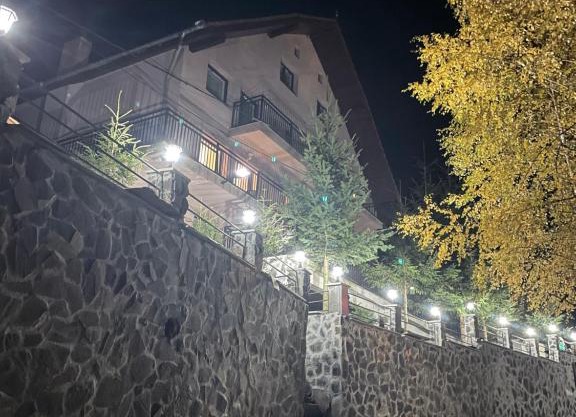 Pensiunea Joe Paltinis