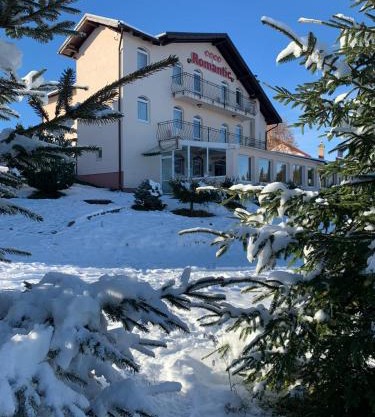 Pensiunea Romantic Belvedere Paltinis