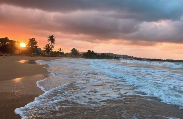 Penthouse 3 bdrm Tropical Retreat Spectacular Rainforest & Ocean Views Jacuzzi!