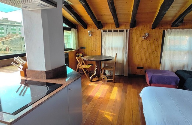 Penthouse-loft with natural light and sun all day overlooking the city center.