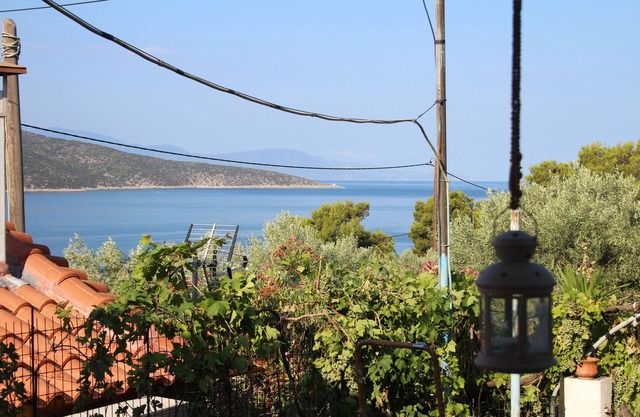 Perfect place to relax & swim