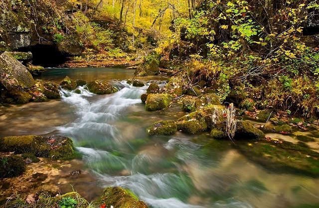 Perfect Locale for Mountain View Golf Course! Pet-friendly, Outdoor Pool