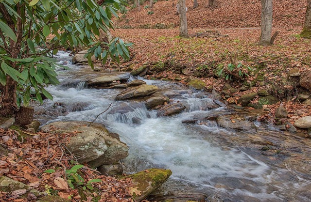 Perfect location, creekside, close to skiing, easy paved access, Game Pavilion!