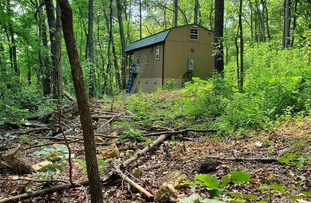 Pet friendly cottage on 17 acre Lake front property with dock and kayak access