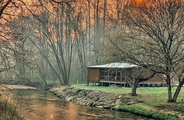 Pet Friendly Creekside Cabin + Hot Tub + Fire Pit
