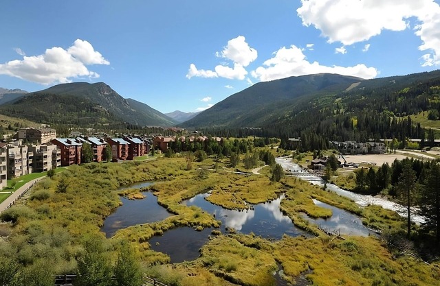 Pet-friendly Hotel, Outdoor Jacuzzi! 4 Relaxing Units, Free Shuttle, Breakfast!
