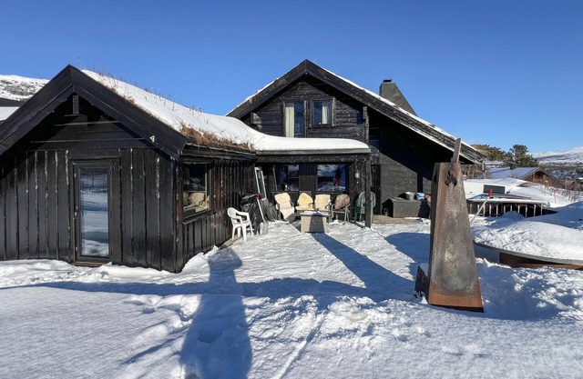 Pet friendly home in Hovden i Setesdal