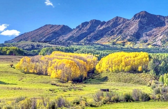 PET Friendly, SLOPE-Side, Sleeps 4, Kitchen & POOL