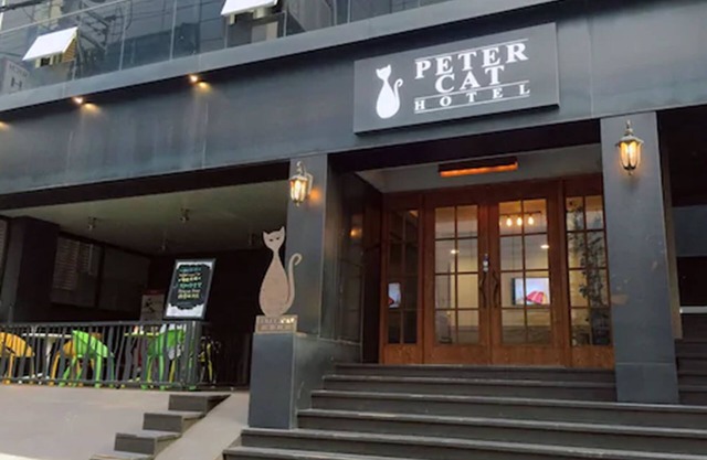 Petercat Hotel Sinchon Hongdae