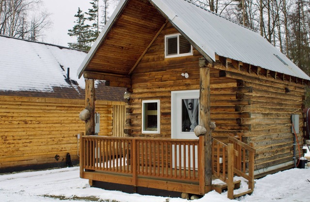 Petite Cabin With Ladder Loft