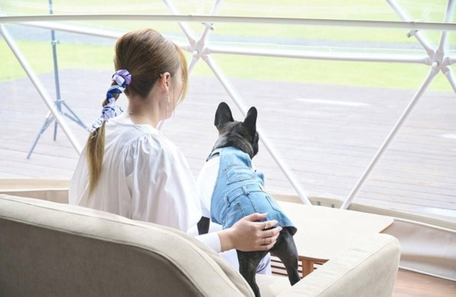 Pets allowed 7m dome tent A Accommodation onl/Sanbu District Chiba
