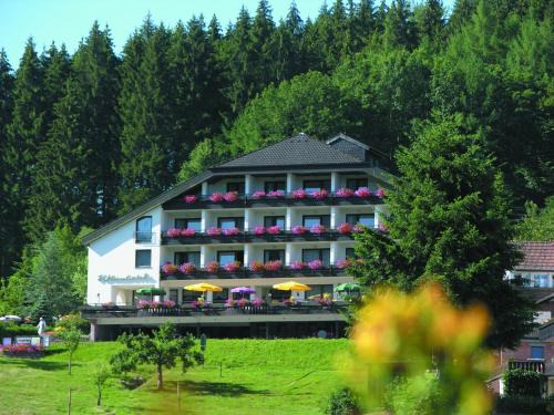 Pfeifles Höhenhotel
