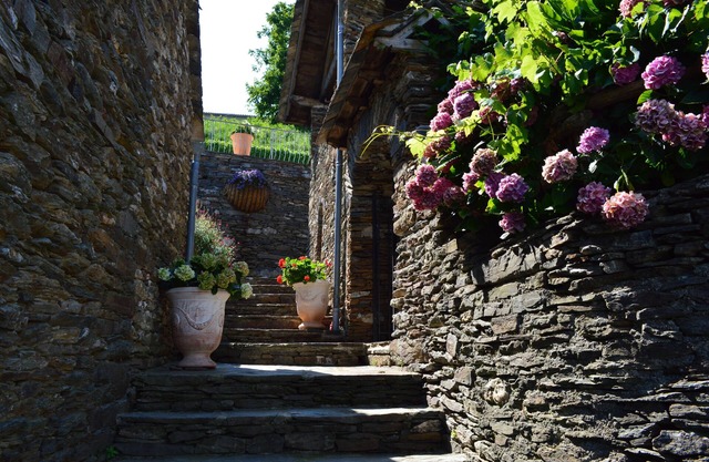 Picturesque family house (3 bedrooms-private pool) Nat des Cévenne Park