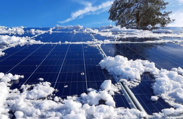 Pihalintu by Interhome