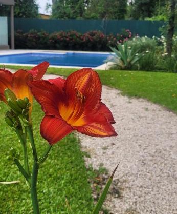 Pilar Norte. Departamentos