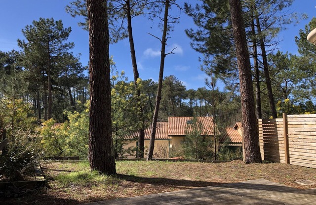 "Pin de Sable" Villa Patio T3, garden and swimming pool.