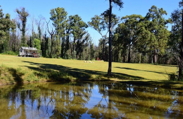 Pindari - Tiny Home Kangaroo Valley