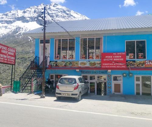 Pine Corn Guest House