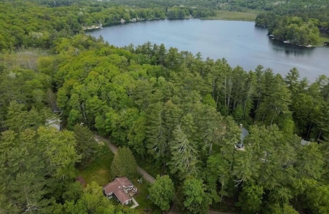 Pine View Cottage, Berkshires Getaway Lake Buel w/lake rights. Pet friendly!