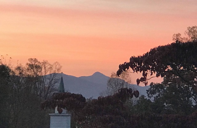 Pisgah Mountain Cottage - Retreat-Mountain Views-Hot tub-Pet Freindly