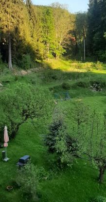 Pod Modrzewiem Mieszkania wakacyjne