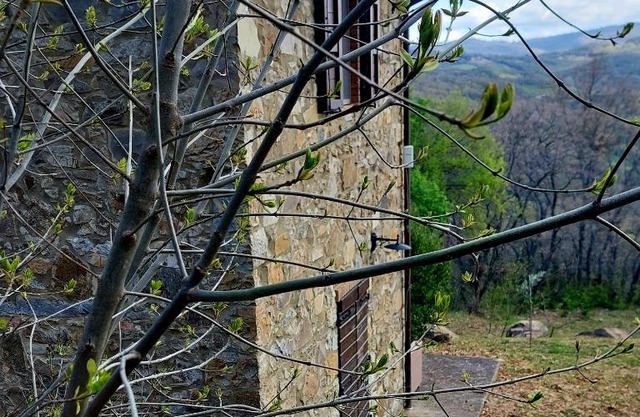 Podere Frassinelli, casa nel bosco