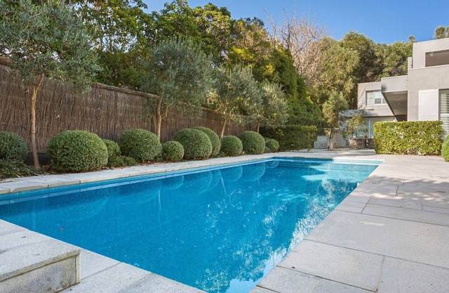 Point King Modern Masterpiece