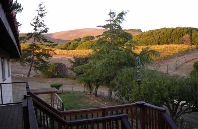 Point Reyes Vineyard Inn