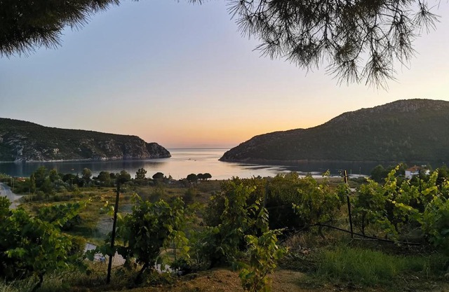 Porto Koufo Resort Bungalows