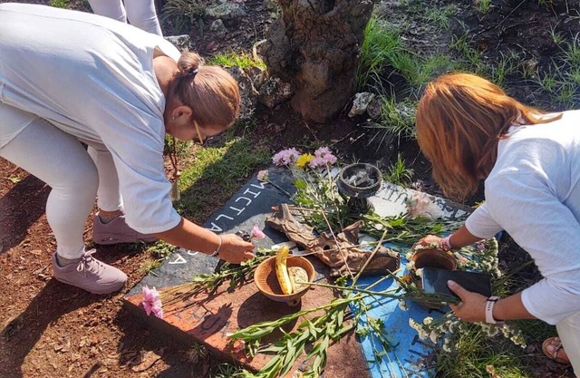 Preciosas Cabañas Para Relajarse en el Corazon del Monte
