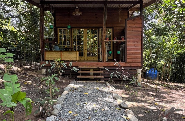 Premium Jungle Cabin with AC