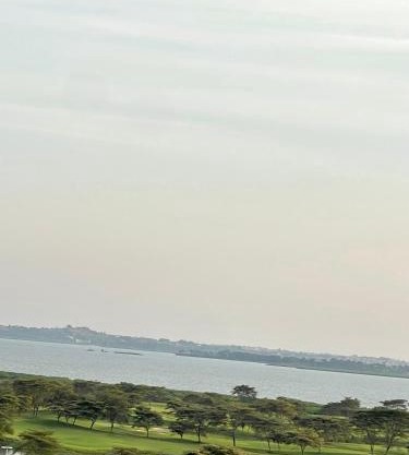 Prime nest properties