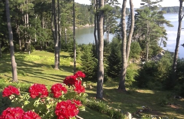 Privacy Views And Casual Elegance-Family Estate near Bowdoin