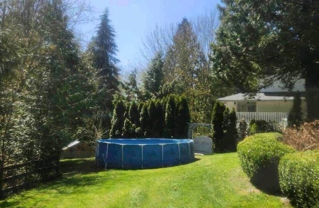 Private Basement suite, beautiful ravine! Perfect, Relaxation or Celebration 🤩
