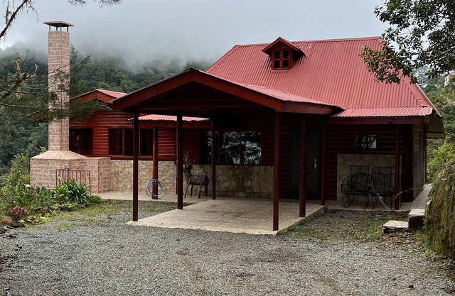 Private cabin in the pristine cloud forest. Quiet and tranquil.