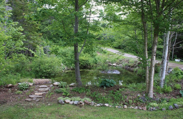 Private cottage for rent on Kelly's Mountain with WIFI