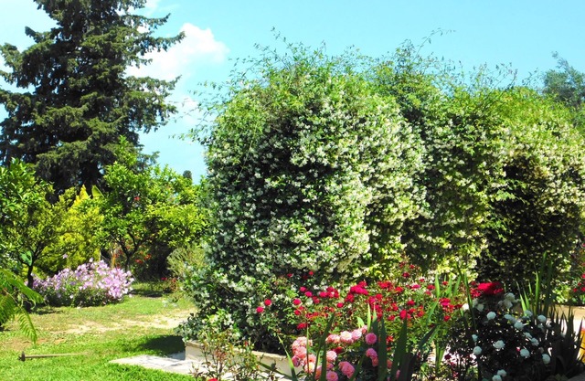 Private, Cozy Decorated, Fancy And Modern Cottage With Sea Views And Garden.