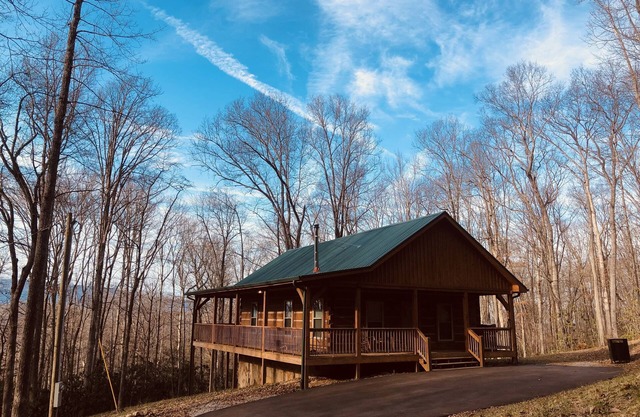 Private Cozy DOG FRIENDLY Cabin Home Surrounded by a Variety of Beautiful Trees