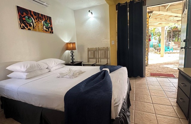 Private Jaguar Room w/AC - All Seasons Belize