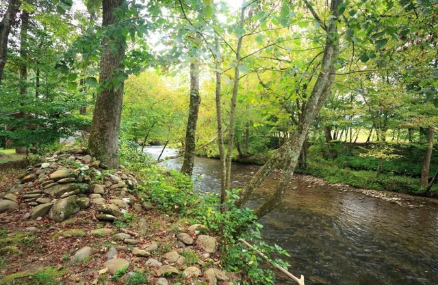 PRIVATE LOG CABIN - TROUT STREAM - 7 MIN TO GREAT SMOKY MOUNTAINS NATIONAL PARK!