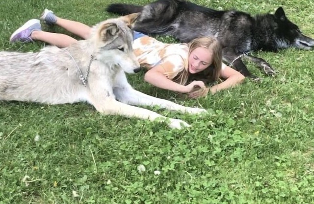 Private lower level house with a kitchen . Come and visit the 🐺🦌🦬🦢