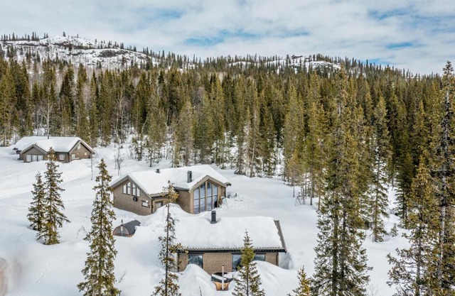 Private Room in Beautiful Mountain Home w/Sauna