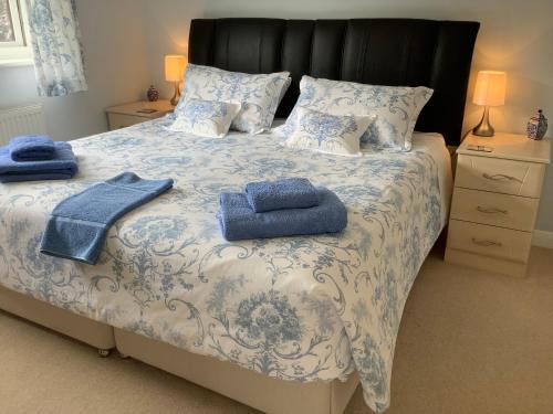 Private room in bright detached house