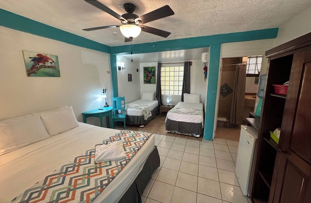 Private Scarlett Macaw Room w/AC at All Seasons Belize