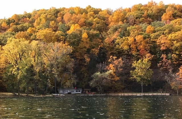 Private! Unique Lake Front Cottage. Heron Cove Sanctuary, Beauty & Peace!