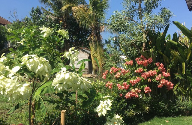PrivateTraditional Bali Bungalow with large pool and beautiful garden