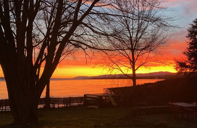 Propriété Moderne Exceptionelle au Bord du Lac, Proche de Toutes Commodités