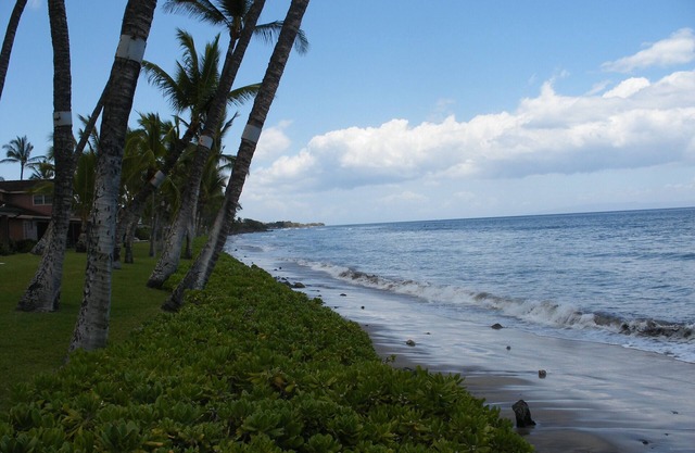 PUAMANA 2 BR PREMIER UNIT 200 Ft. from Ocean 153-6